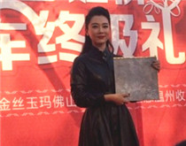 陈数温州企业活动